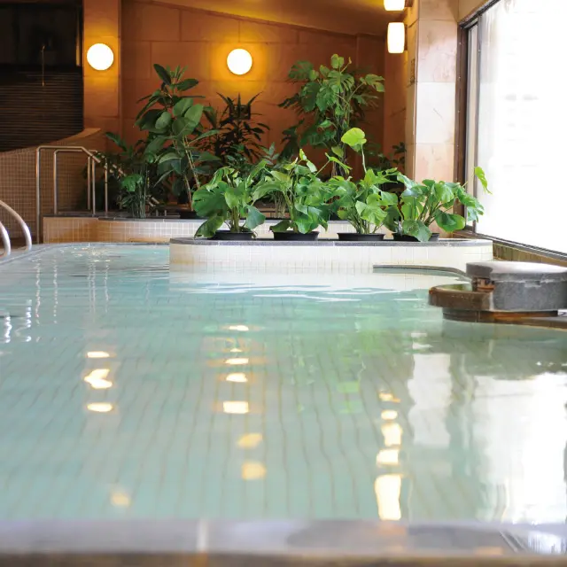 ［兵庫・有馬］メープル有馬　日帰り温泉＋ランチペア